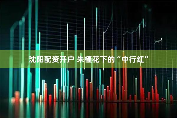 沈阳配资开户 朱槿花下的“中行红”