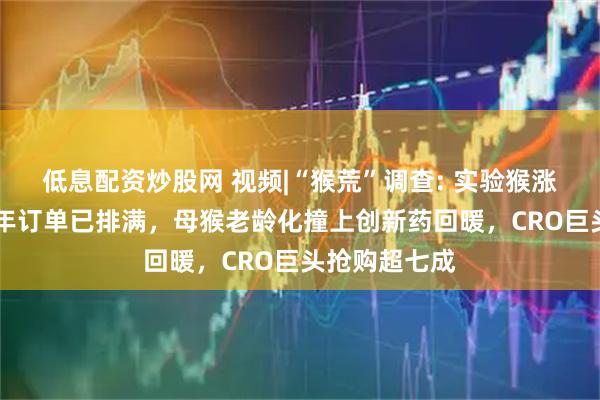 低息配资炒股网 视频|“猴荒”调查: 实验猴涨到13万！明年订单已排满，母猴老龄化撞上创新药回暖，CRO巨头抢购超七成