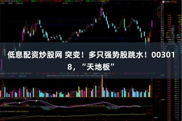 低息配资炒股网 突变！多只强势股跳水！003018，“天地板”