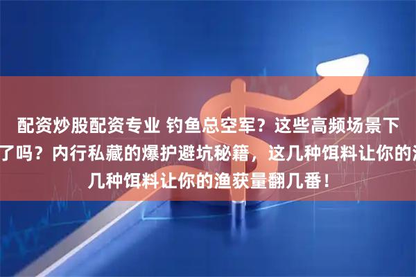 配资炒股配资专业 钓鱼总空军？这些高频场景下的痛点你中招了吗？内行私藏的爆护避坑秘籍，这几种饵料让你的渔获量翻几番！